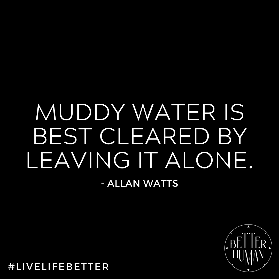 "Muddy water is best cleared by leaving it alone."